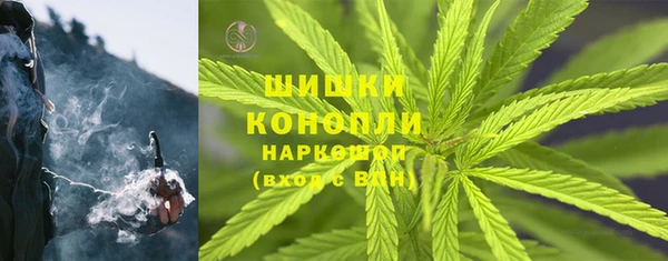 дурь Алексеевка