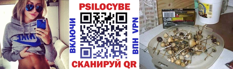 Галлюциногенные грибы MAGIC MUSHROOMS  darknet какой сайт  Пыталово 